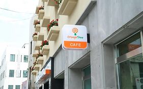 Orange Tree Hotel