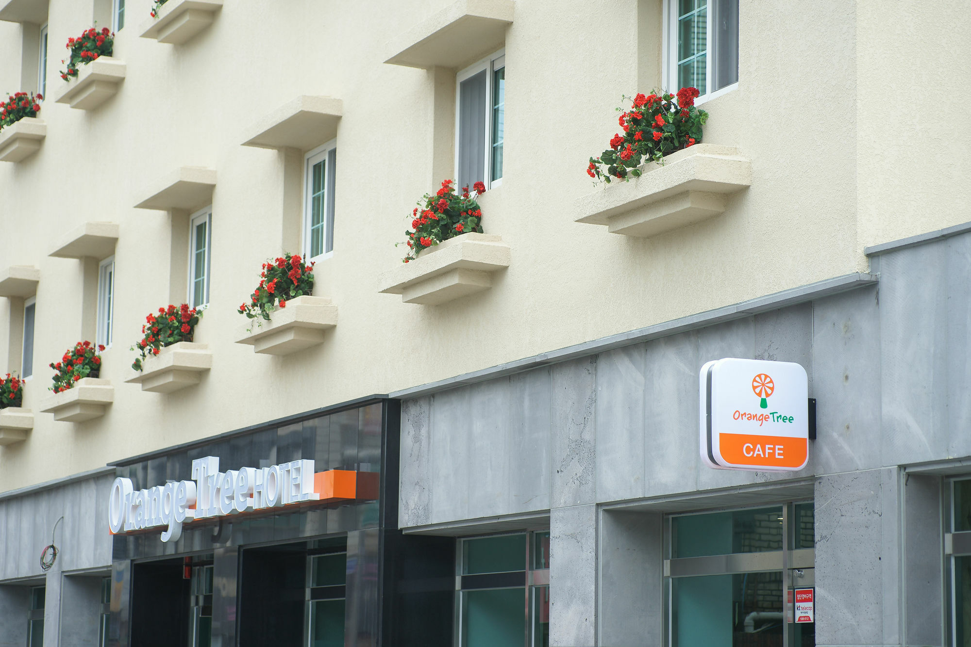 Orange Tree Hotel Czedżu Zewnętrze zdjęcie
